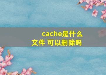 cache是什么文件 可以删除吗